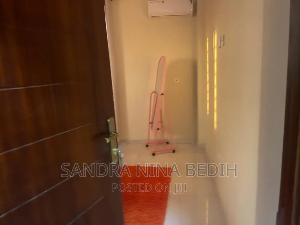 Furnished 1bdrm Apartment in East Legon for rent