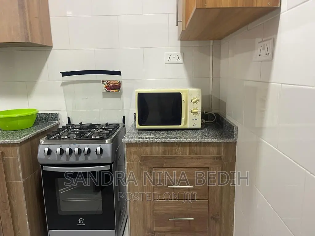 Furnished 1bdrm Apartment in East Legon for rent
