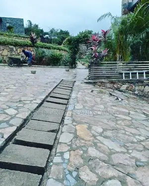 Landscape Design and Construction