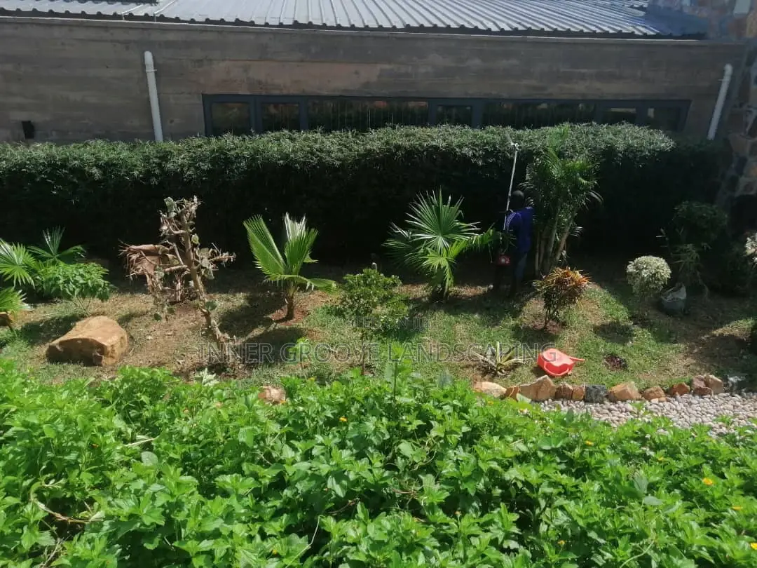 Landscape Design and Construction
