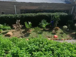 Landscape Design and Construction