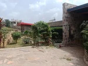 Landscape Design and Construction