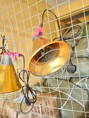 Infarred Heater Brooder Shadelamp