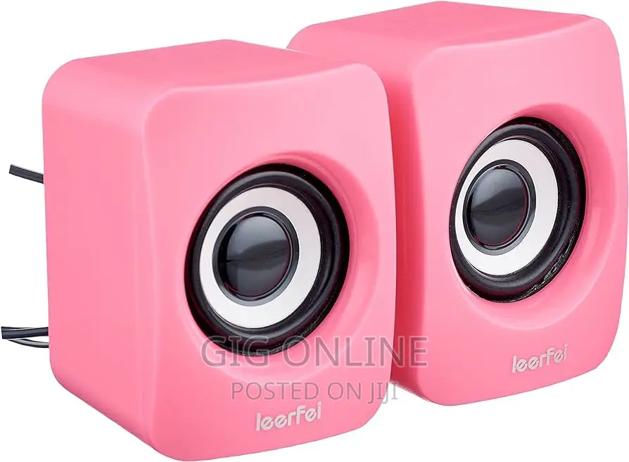 Leerfei Computer Speaker