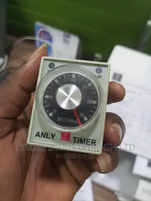 Anly Timer Relay