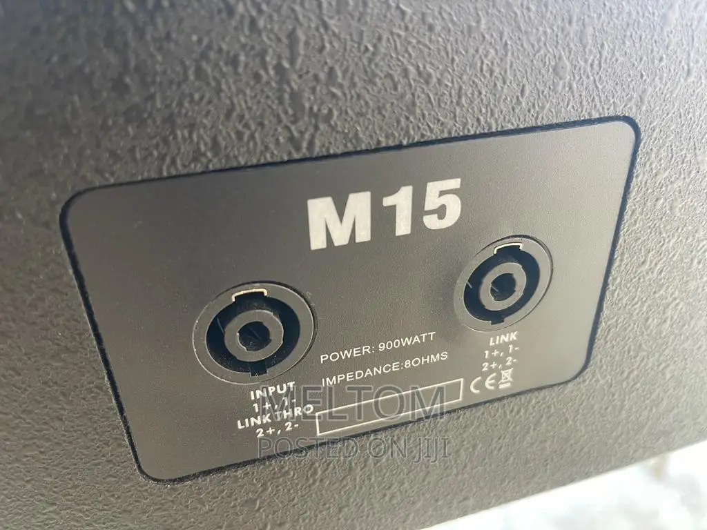 Ev M15 15inches Passive Stage Monitor