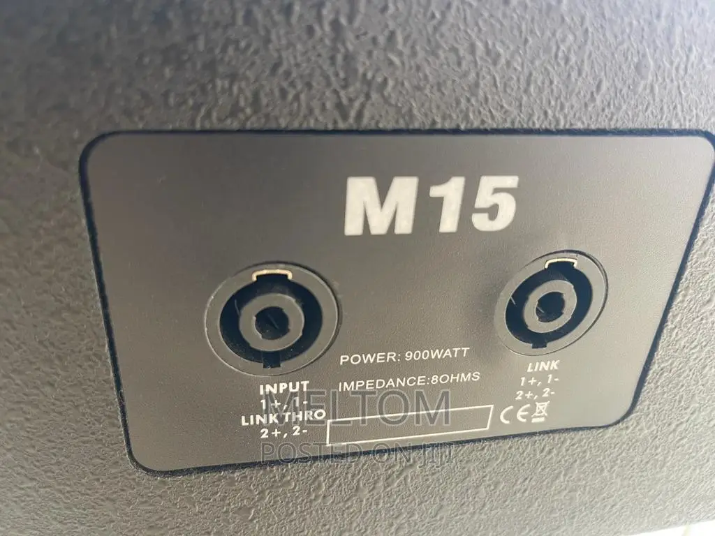 Ev M15 15inches Passive Stage Monitor