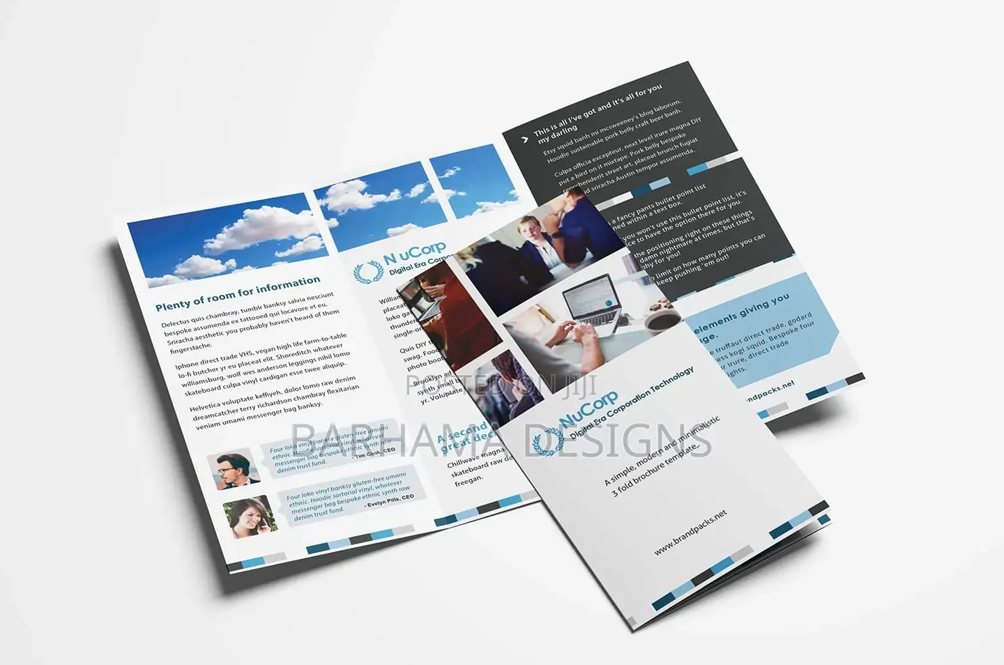 Tri-Fold Brochure/Flyer Printing