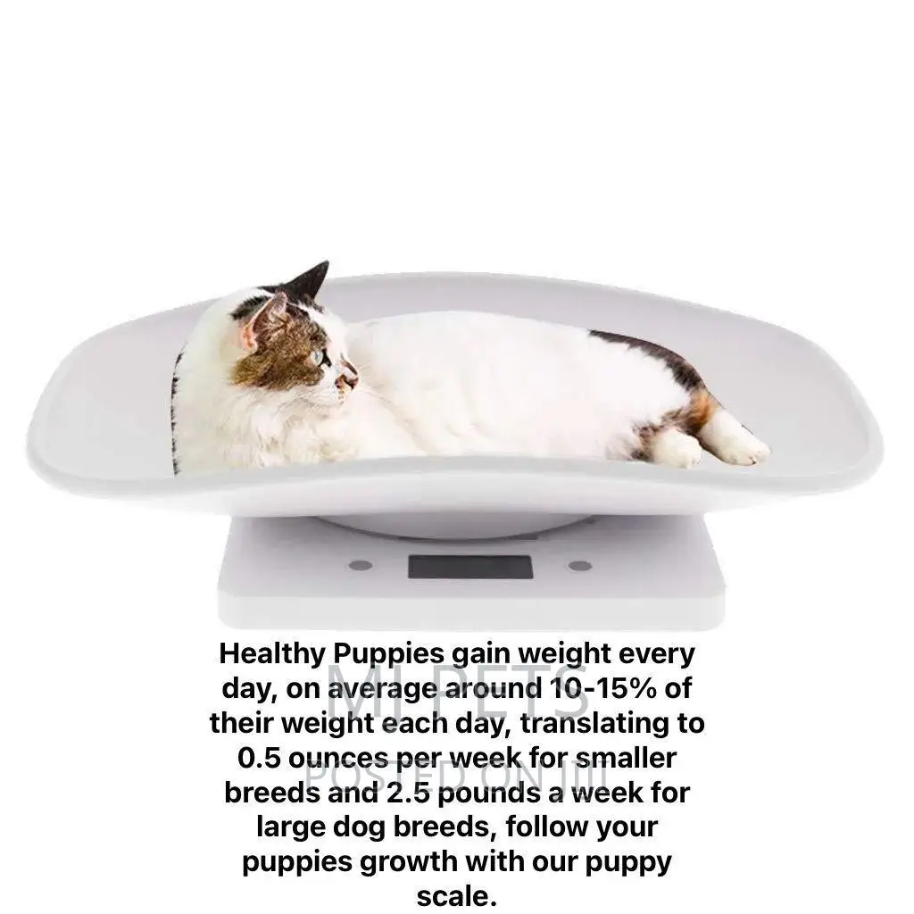 Puppy Weighing Scale