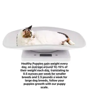 Puppy Weighing Scale