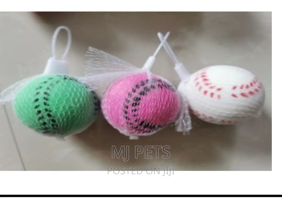 Dog Playing Toys