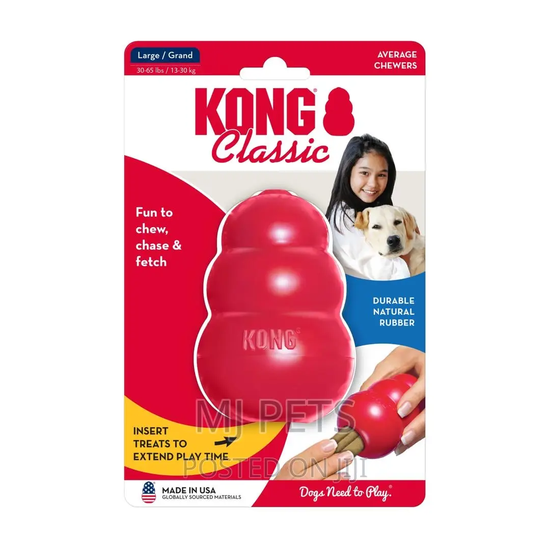 Kong Play Toy