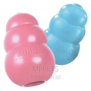 Kong Play Toy