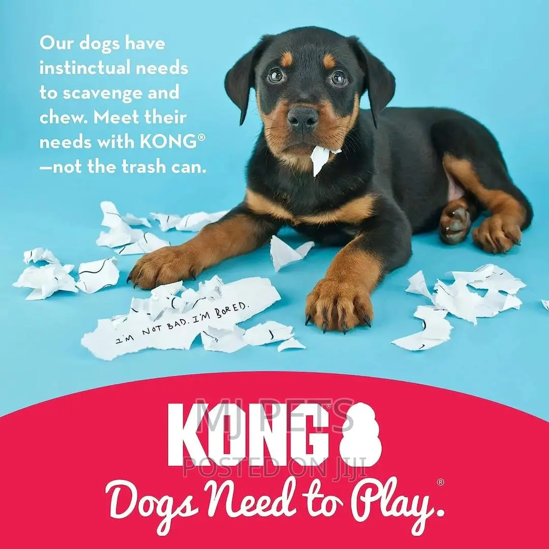 Kong Play Toy