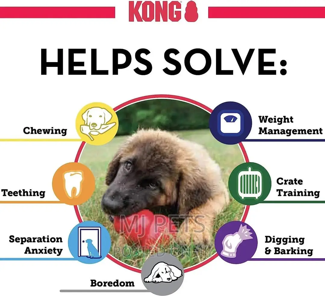 Kong Play Toy