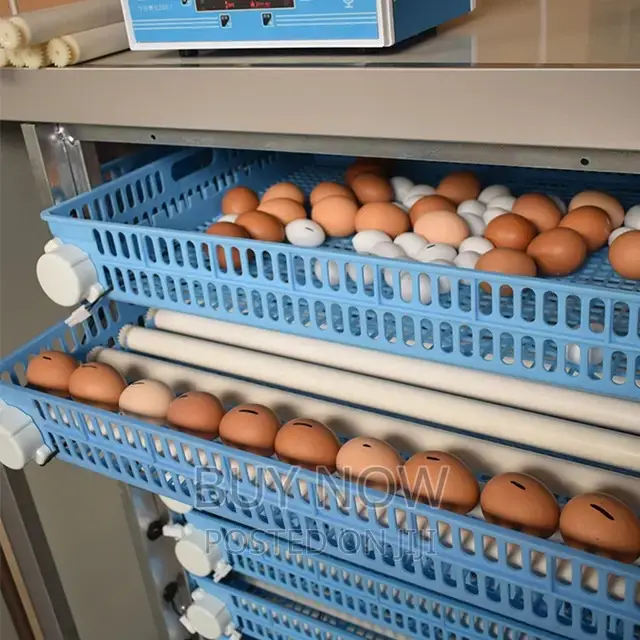 Egg Incubator (520 Eggs)