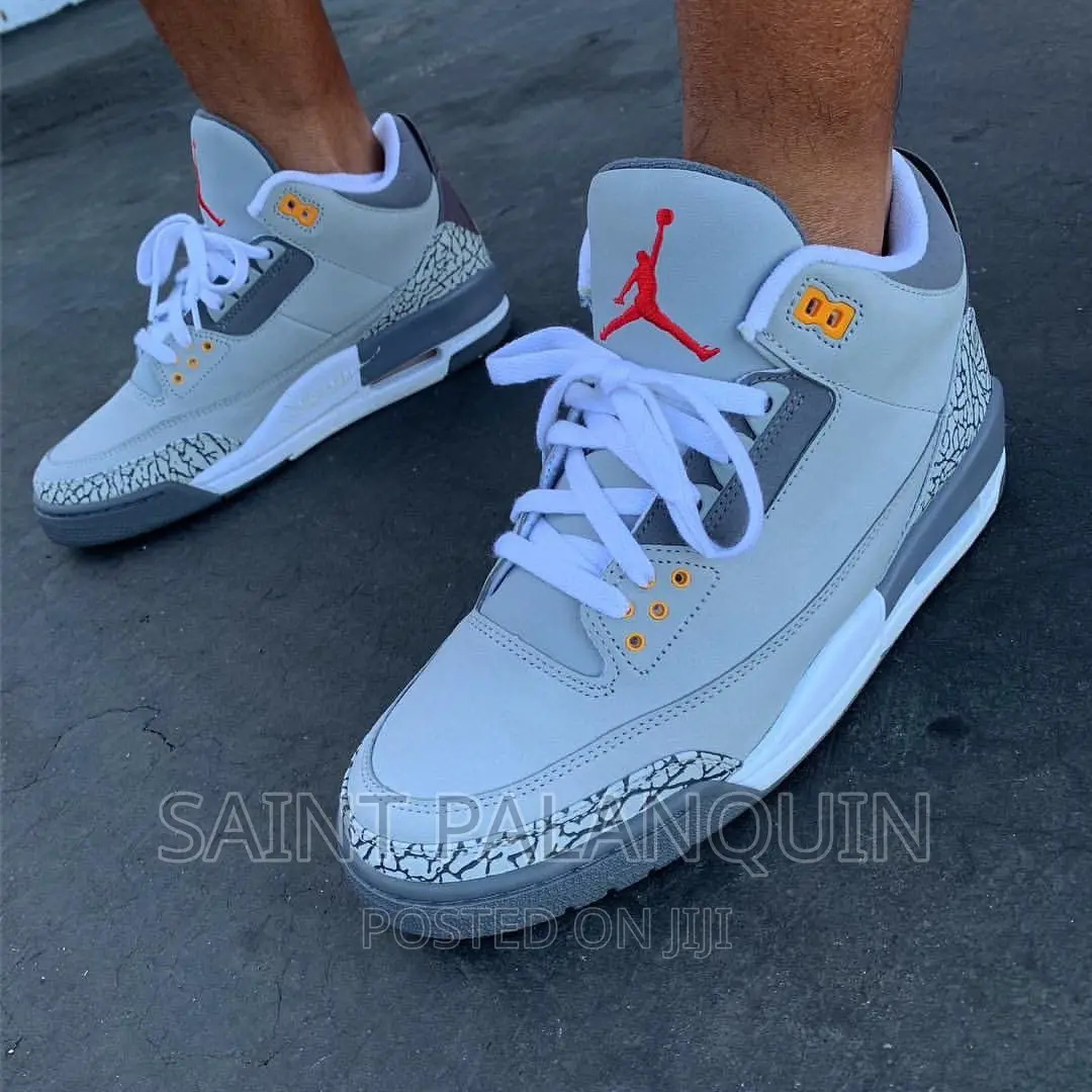 Air Jordan 3 Gray