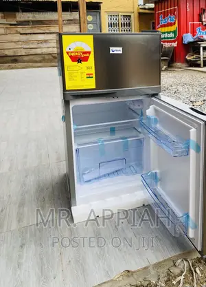 Extremely Cooling Pearl PF-10T 2 Door Electric Fridge,Gray.