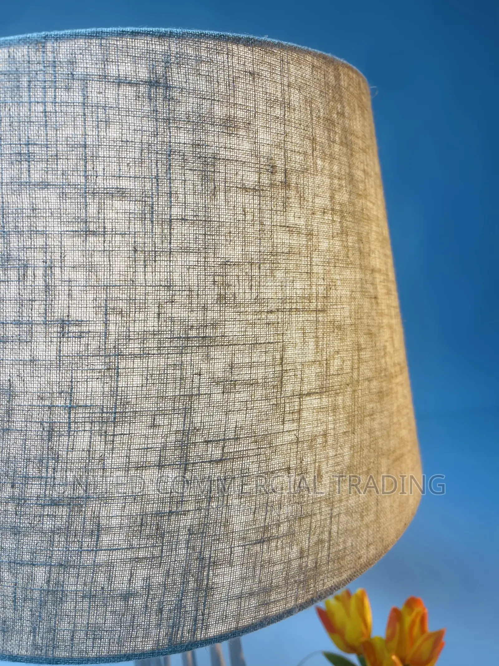 Table/Bedside Lamp