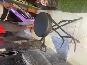 Guitar Seat With Stand