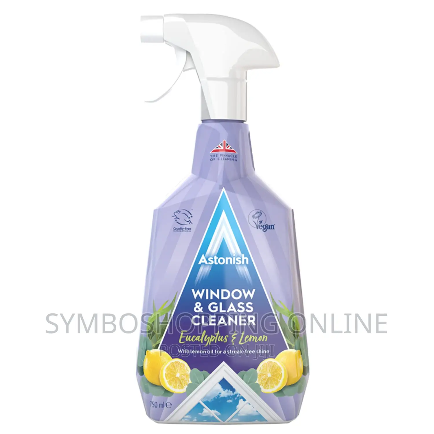 Astonish Window Glass Cleaner 750ml