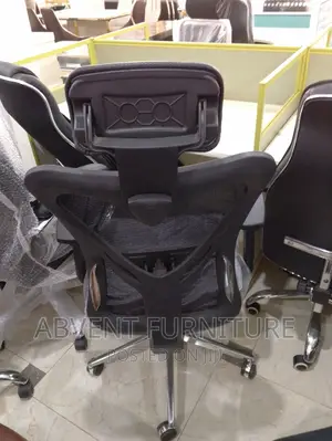 Orthopedic Chair