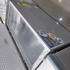 Nas360_chest Freezer Silver Colour_nasco