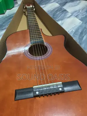 New Learner/Beginner Acoustic Guitar