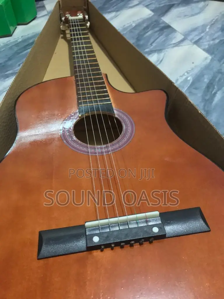 New Learner/Beginner Acoustic Guitar