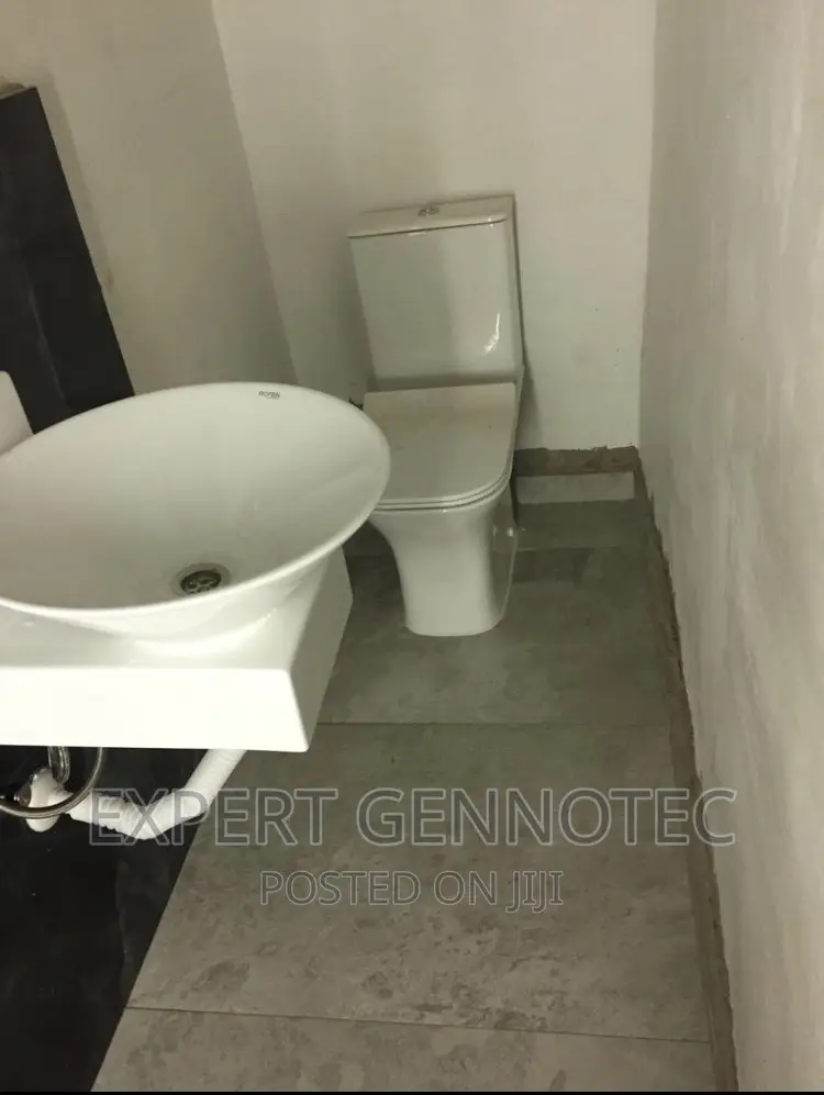 Professional Plumbing Services And Biodigester Installation