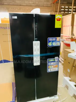 Quality Yet Affordable Nasco Nassb2-64s Side by Side Fridge.