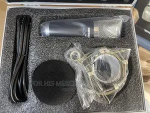 Studio Microphone