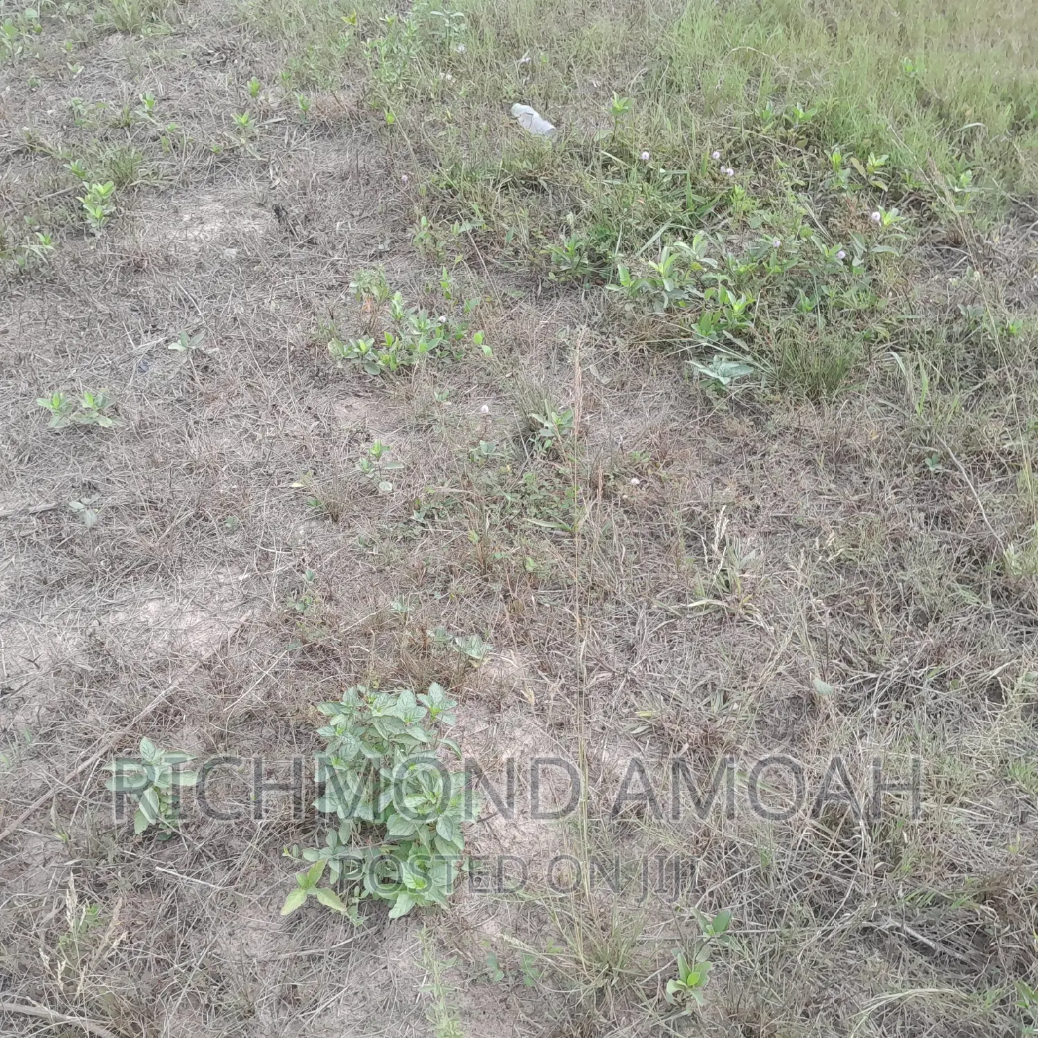 Half Plot for Sale at West Fijia