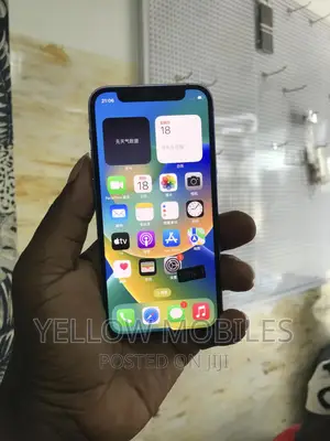 Apple iPhone 12 Pro Max 256 GB Blue