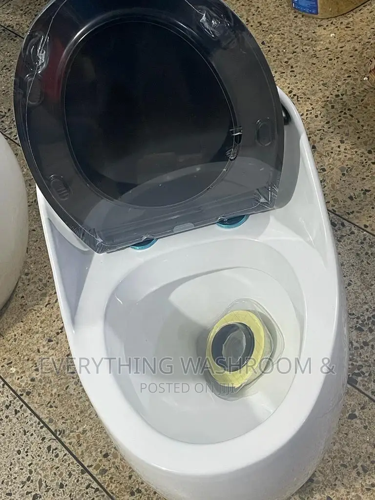 Cute Water Closet_ Egg WC_ Water Saving