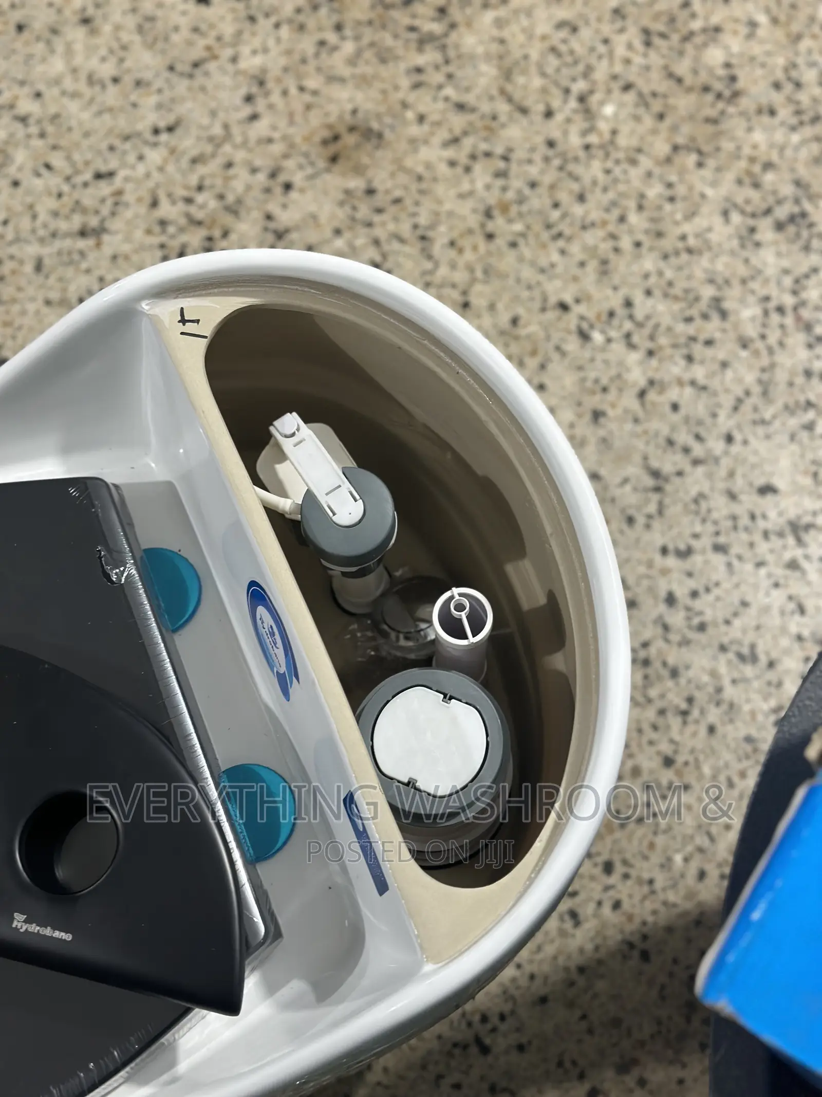 Cute Water Closet_ Egg WC_ Water Saving