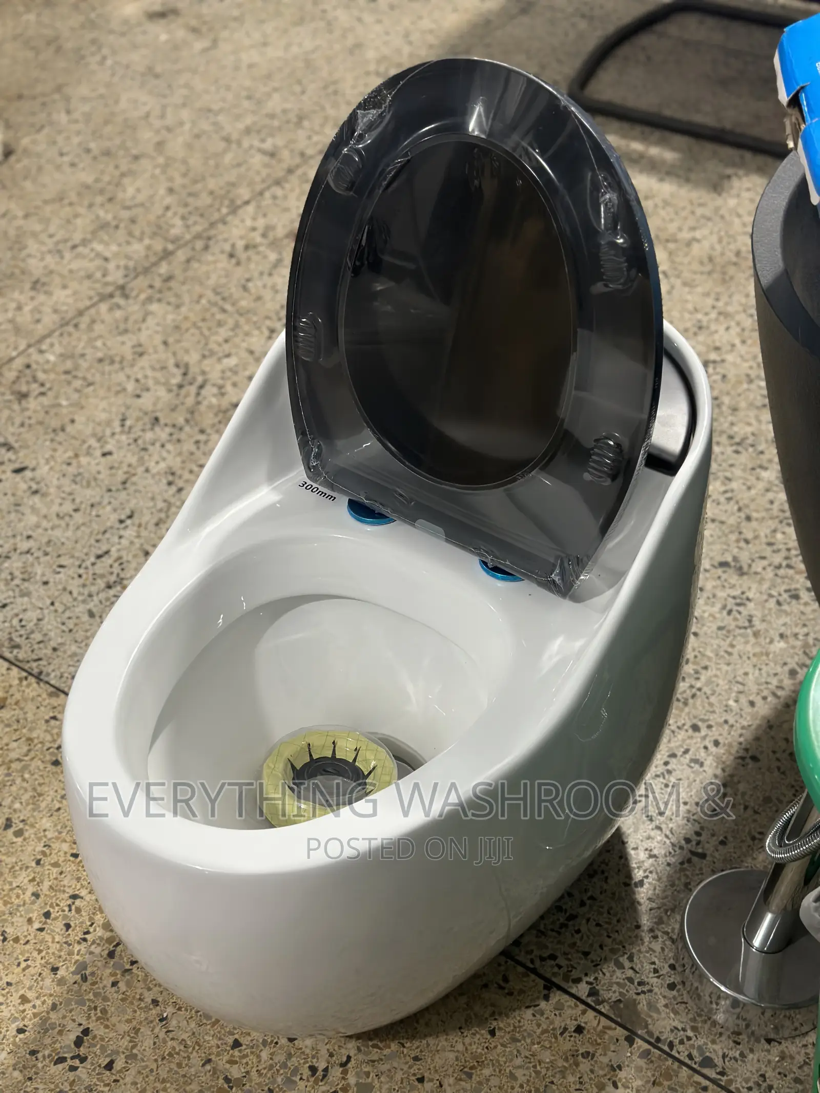 Cute Water Closet_ Egg WC_ Water Saving
