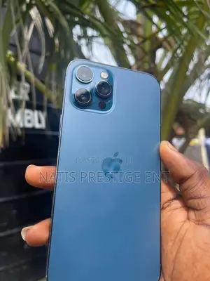 Apple iPhone 12 Pro Max 256 GB Blue