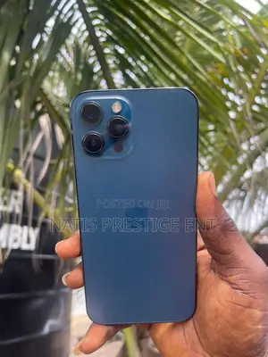 Apple iPhone 12 Pro Max 256 GB Blue
