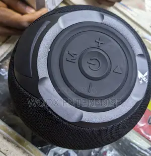 Portable Loud Speaker