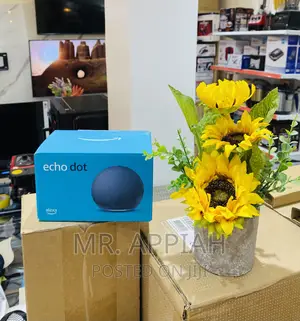 Echo Dot Bluetooth Portable Rechargeable Speaker.