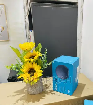 Purchase Authentic Echo Dot Portable Bluetooth Speaker.