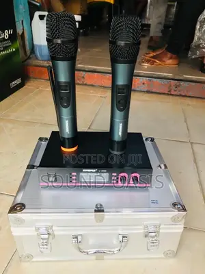 Shure U-3400 Professional Wireless Dual Microphone System
