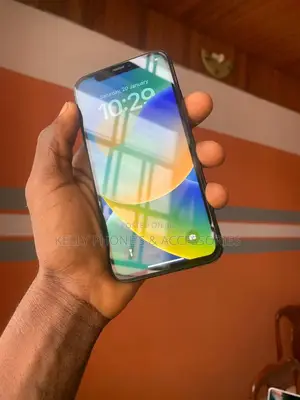 Apple iPhone XS Max 256 GB Black