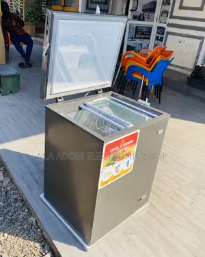 Purchase Affordable Zara 200cf Single Door Chest Freezer.