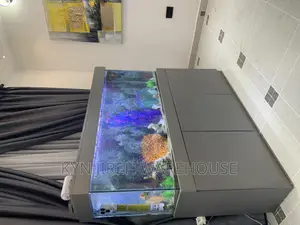 Ashtown Aquarium With 15 Fishes