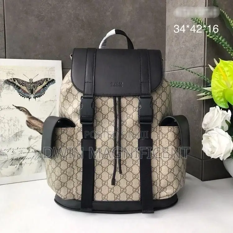 Coach/ Dior /Louis Vuitton and Gucci Backpack
