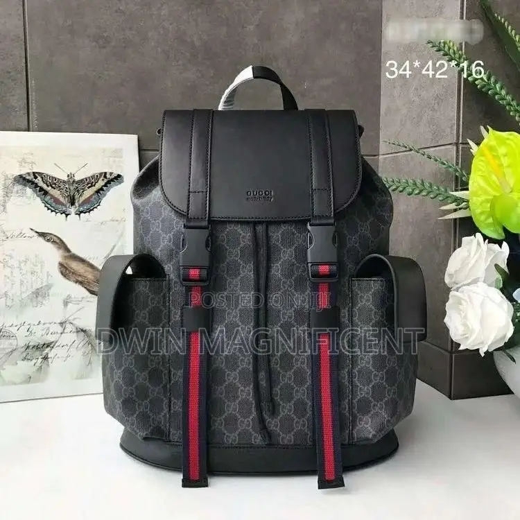 Coach/ Dior /Louis Vuitton and Gucci Backpack