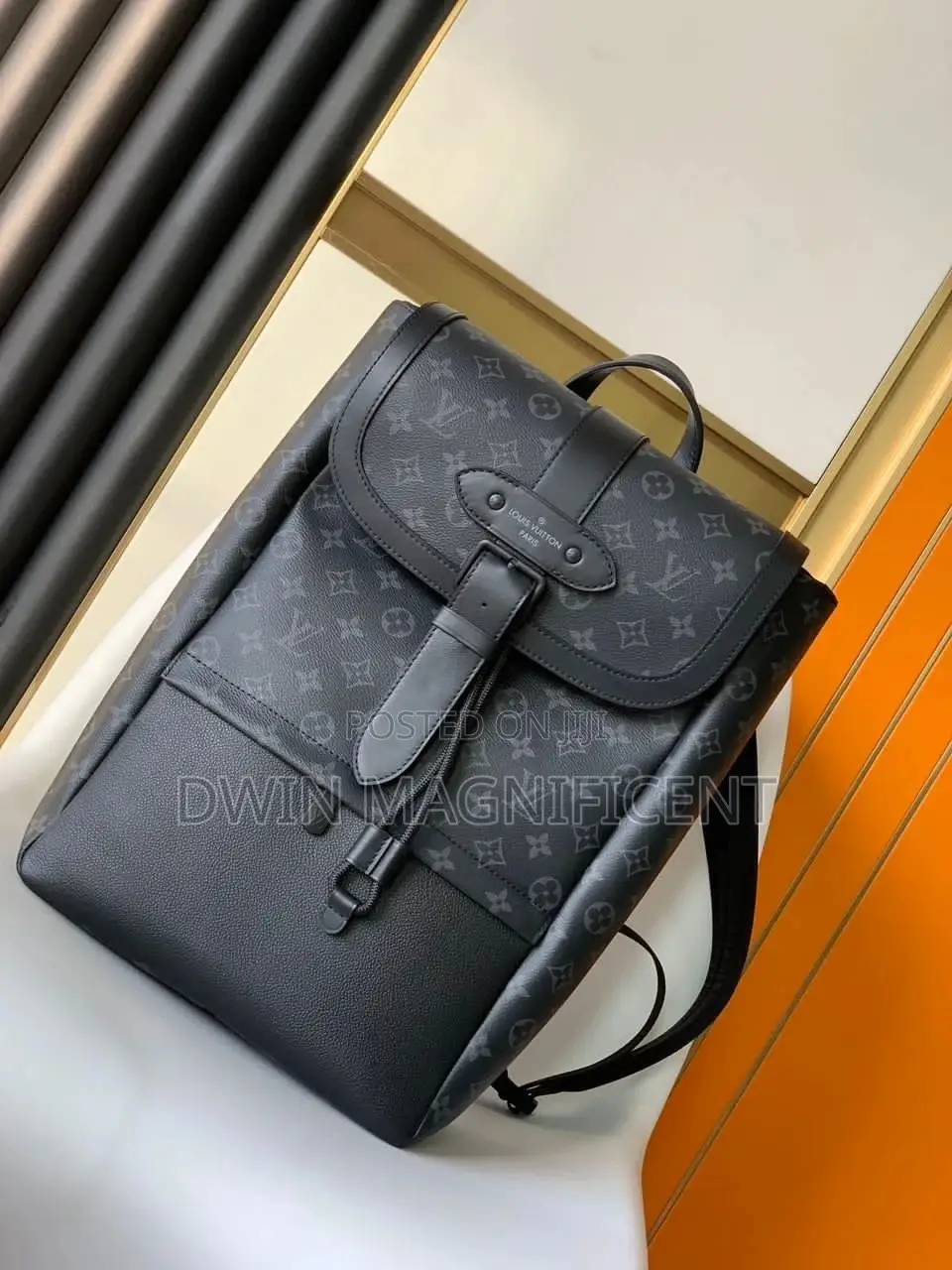 Coach/ Dior /Louis Vuitton and Gucci Backpack