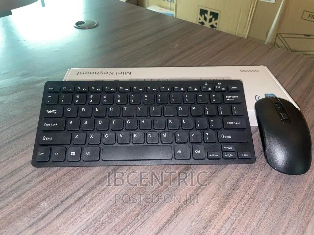 Mini Wireless Keyboard and Mouse Combo